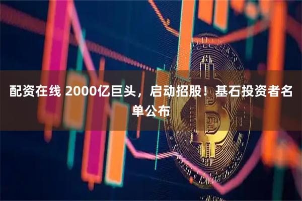 配资在线 2000亿巨头，启动招股！基石投资者名单公布